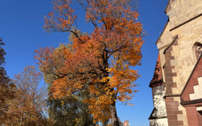 Sonntagswort | ALLERHEILIGEN & ALLERSEELEN | 01. & 02.11.2025