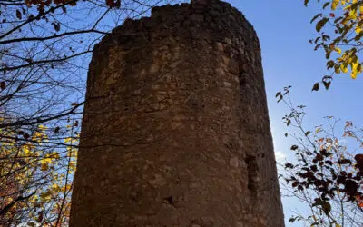 Sonntagswort | 33. Sonntag C | 16.11.2025