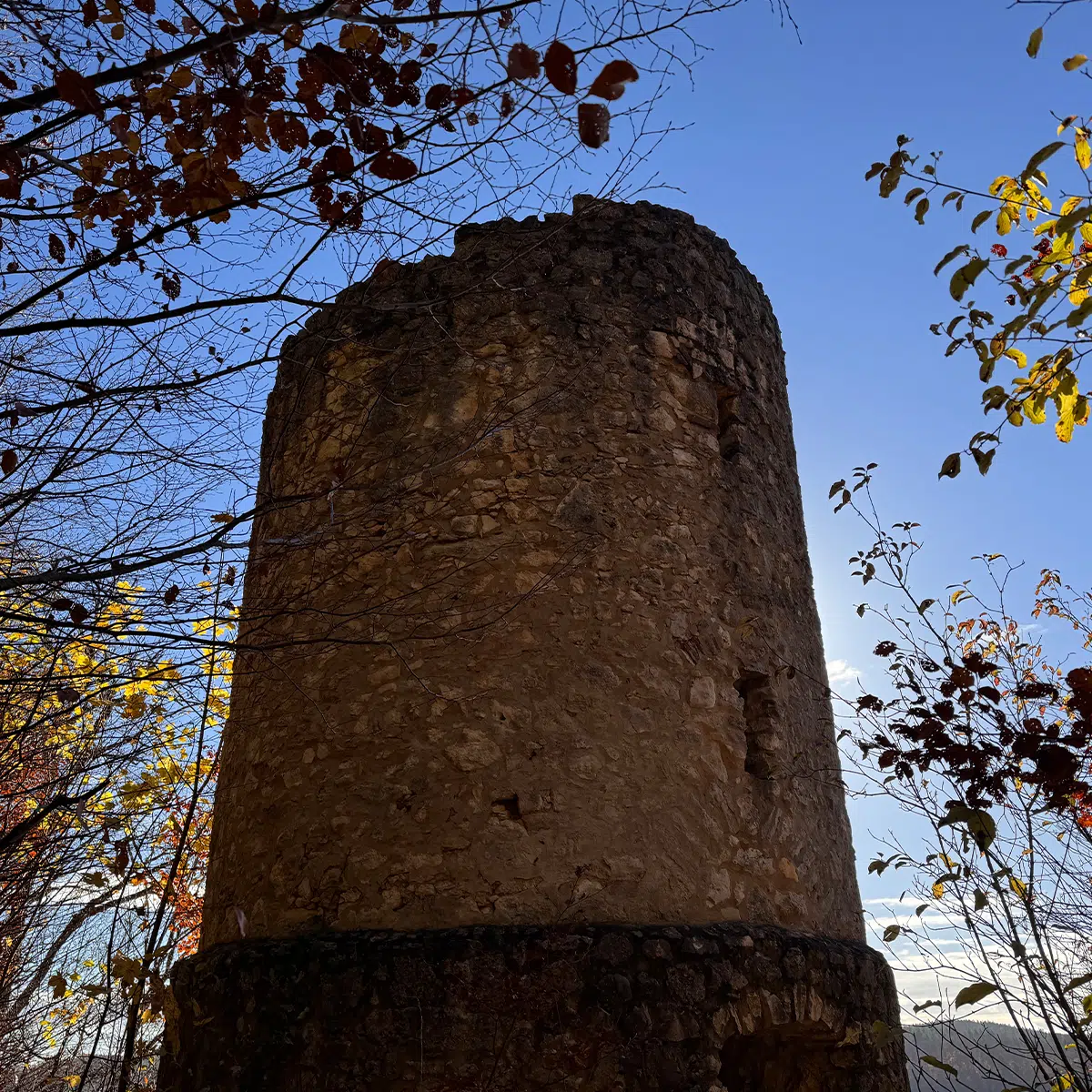 sonntagswort_16112025