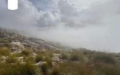 Sonntagwort | 1. Advent | 30.11.2025