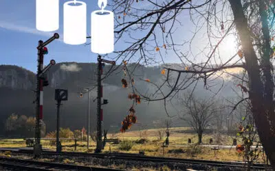 Sonntagswort | 3. Advent A GAUDETE | 14.12.2025