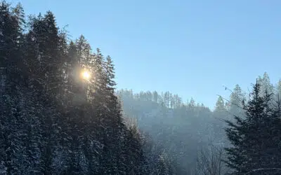 Sonntagswort | TAUFE DES HERRN | 11.01.2026