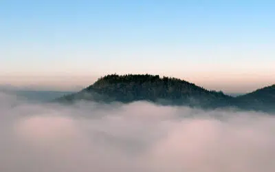 Sonntagswort | 2. Fastensonntag A | 01.03.2026