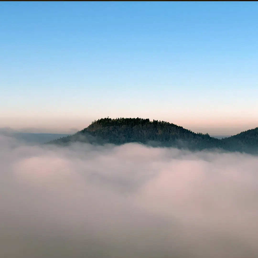 sonntagswort_01032026