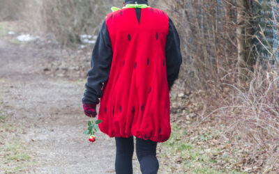 Sonntagwort | 6. Sonntag A | FASENTSSUNNDIG | 15.02.2026