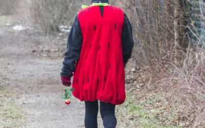 Sonntagwort | 6. Sonntag A | FASENTSSUNNDIG | 15.02.2026