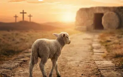 Sonntagswort | OSTERN | 05.04.2026