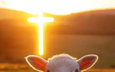 Sonntagswort | OSTERNACHT | 04.04.2026