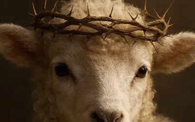 Sonntagswort | PALMSONNTAG | 29.03.2026