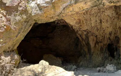 Sonntagswort | 5. Fastensonntag A | 22.03.2026