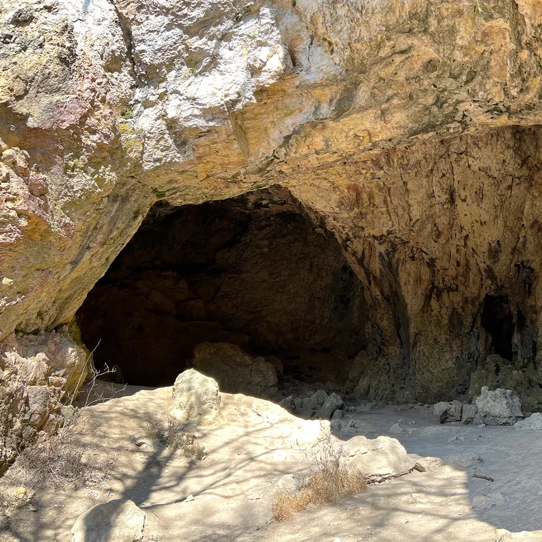 sonntagswort_22032026