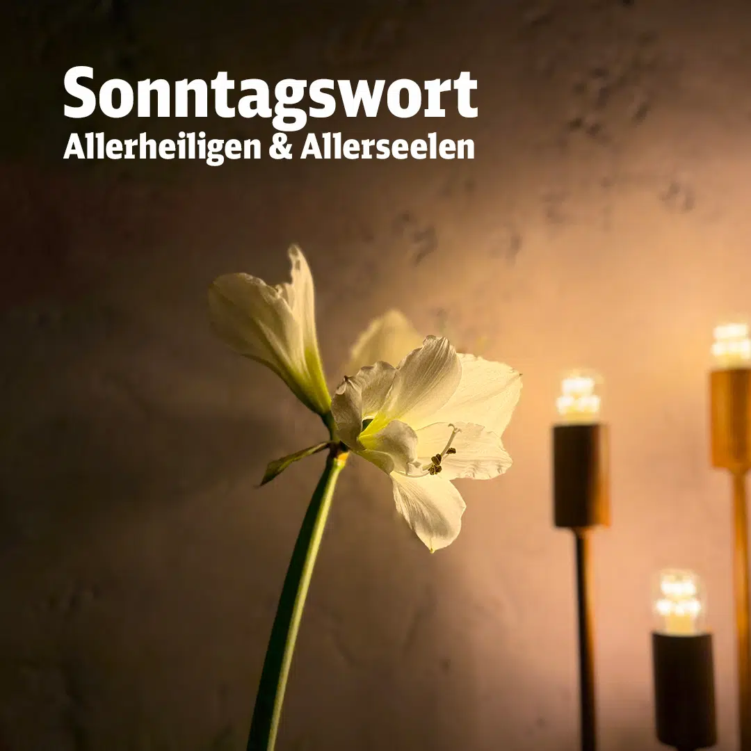 sonntagswort_01+02112026